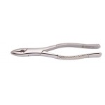 Woodpecker Extracting Forcep 1